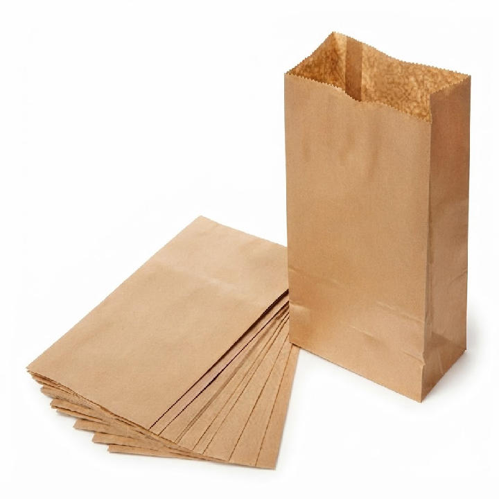 BOLSA PAPEL 1KG #2 ECONOMICA (10X100)